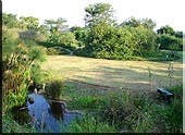 Butterfly garden Pond Butterfly farm Pietermaritzburg